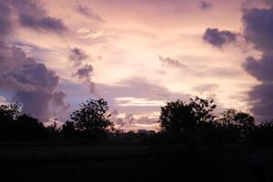 Purple Sky With Clouds And Trees In The Foreground photo