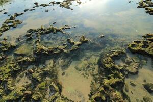 A Rock Pool With The Sky In The Background photo