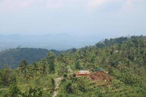 A Dirt Road Is Surrounded By Trees And A House On The Side Of The Mountain photo