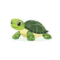 a cartoon turtle on a white background vector
