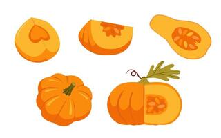 Pumpkin slice set. Set of bright elements for Thanksgiving recipes. vector