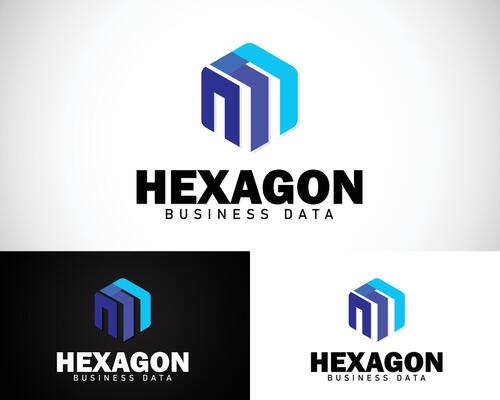 hexagon logo creative business finance logistic design concept