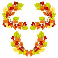Composition of autumn leaves and berries in the shape of a semicircle vector