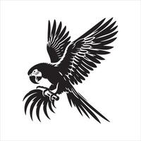 Parrot Breeding Everything You Should Know vector