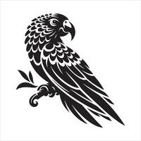 Parrot Lifespan How Long Do Parrots Live vector