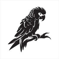 How to Teach Your Parrot to Talk Expert Tips vector