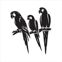 the best parrot books for learning and entertainment. vector