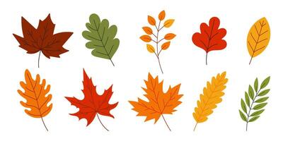 A set of colorful autumn leaves are drawn in various sizes and styles. The leaves are arranged in a row, with some overlapping and others standing alone. Scene is cheerful and vibrant vector