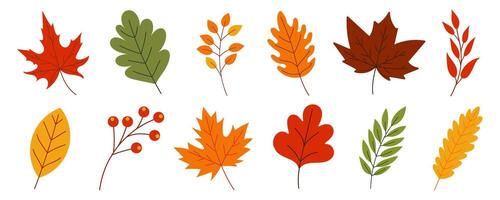 A set of colorful autumn leaves are shown in various sizes and orientations. The leaves are arranged in a row, with some overlapping and others standing alone. Scene is warm and inviting vector