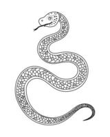 A snake with a long body and a black head. The snake has a black and white pattern on its body vector