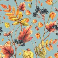 Autumn berries physalis, chokeberry, rowan leaves, maple, birch, tree branches and ladybugs. Watercolor illustrations. Seamless pattern on a blue background vector