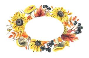 Autumn berries physalis, chokeberry, rowan leaves, maple, birch, russula mushrooms, rudbeckia flowers, tree branches and ladybugs. Watercolor illustrations. Oval frame wreath isolated from background vector