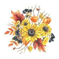 Autumn berries physalis, chokeberry, rowan leaves, maple, birch, russula mushrooms, rudbeckia flowers, tree branches and ladybugs. Watercolor illustrations. Sublimation isolated from the background vector