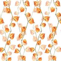 Autumn orange physalis berries on branches dry, without leaves dried flowers. Watercolor hand-drawn illustration. Seamless pattern on white background vector