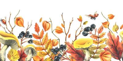 Autumn berries physalis, chokeberry, rowan leaves, maple, birch, russula mushrooms, tree branches and ladybugs. Watercolor illustrations. Horizontal seamless border isolated from background vector