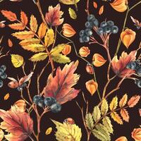 Autumn berries physalis, chokeberry, rowan leaves, maple, birch, tree branches and ladybugs. Watercolor illustrations. Seamless pattern on a dark background vector