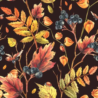 Autumn berries physalis, chokeberry, rowan leaves, maple, birch, tree branches and ladybugs. Watercolor illustrations. Seamless pattern on a dark background
