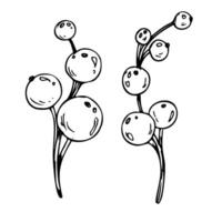 Twigs with decorative orange berries for decoration, bouquet design. Line art is a simple hand-drawn illustration in black and white ink. Set of isolated objects EPS clip art. vector