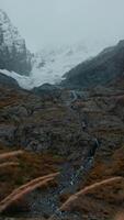Huge mountains overgrown with trees. Creative. A bird's-eye view of a cold landscape with mountains and gushing thin rivers flowing between the stones. video
