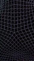 Abstract colorful bending grid on a black background. Design. Technology concept grid of narrow lines. video