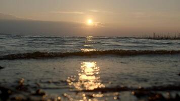 Close-up of small waves on background of sunset. Creative. Rolling small waves on seashore with sunset horizon. Waves on background of sea sunset video