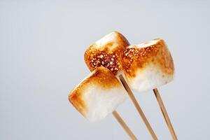 Roasted Marshmallow on a stick, isolated on a white background. photo