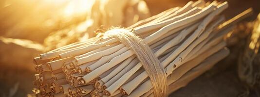 Bundle of twigs tied with twine resting on the ground during golden hour light in a natural setting photo