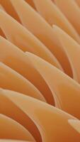 3D background with sharp petals. Design. 3D petals move and rotate in background. Sharp petals in abstract 3d background video