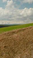 Hilly landscape with green grass and sparse trees. Shot. Top view of beautiful hilly valley with green grass and cloudy sky. Summer landscape of hilly valley with sparse trees and green grass video