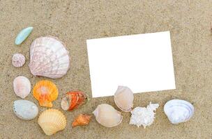 Top view of different sea shells on sand with empty white note paper for text. Time to vacation photo