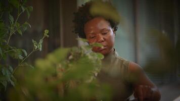 Nurturing Nature A Gardeners Deep Passion and Devotion for Various Plants and Flora video
