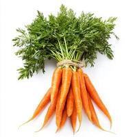Create an image of a fresh bunch of carrots, isolated on a clean white background. Bunch of carrots photo