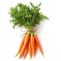Create an image of a fresh bunch of carrots, isolated on a clean white background. Bunch of carrots photo