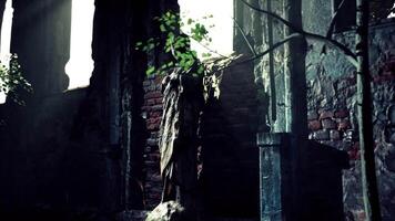 Ruins of an Ancient Monastery With Sunlight Filtering Through Windows video