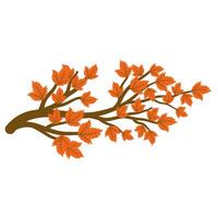 Autumn twig with leaf vector