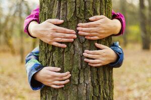 Hands hugging tree in the forest close-up photo