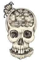 Surreal art fantasy skull design by hand drawing on paper vector