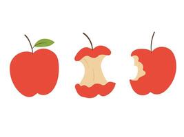 Apple, bitten apple, apple core, hand drawn style vector