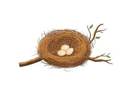 Bird nest holds eggs n a tree branch. hand drawn style vector