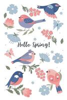 Set of cute spring birds isolated on white background. graphics. vector