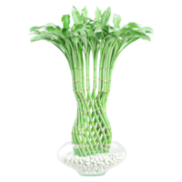 3d Rendering Of Lucky bamboo Plant in pot With Transparent Canvas png