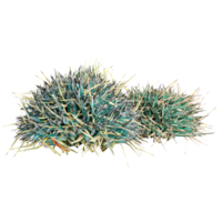 3d rendering of blue grass isolated on transparent Canvas png