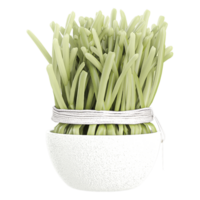 3d Rendering Of Green bean in pot With Transparent Canvas png