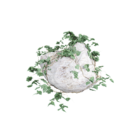 3d rendering of stone with plant isolated on transparent Canvas png