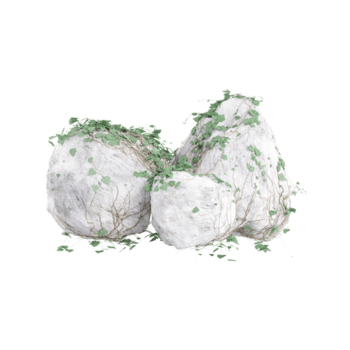 3d rendering of stone with plant png