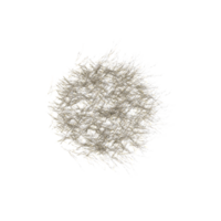 Fresh spring green grass isolated on canvas from top view png