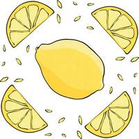 Lemon pattern textille fabric botanical illustration vector