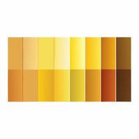 a series of posters for different colors and sizes. Color palette . Golden color palette. vector