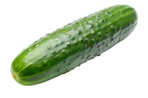 Fresh Green Cucumber png