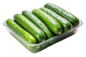 Fresh Cucumbers in a Package png